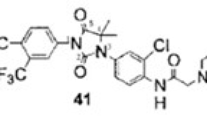 Compound 41.jpg