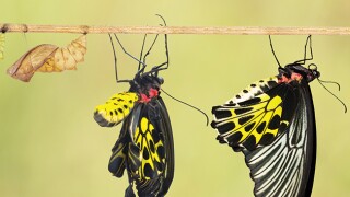 transformation-630.jpg