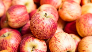 Stack of red apples