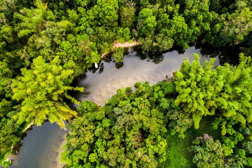 Aerial View of Amazon Rainforest, South America