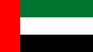 UAE flag