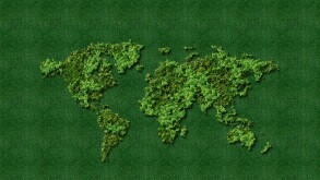 Green World Map-  tree or forest shape of world map isolated on white background. World Map Green- Earth day or environment day Concept. World map made up of various detailed trees on solid white.