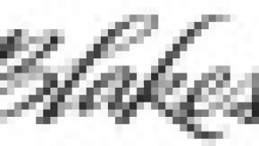 blakes-small.jpg