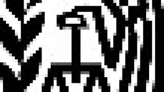 300px-irs-svg.jpg