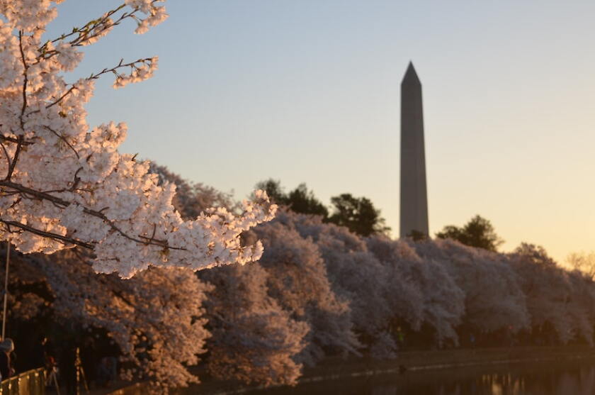 washingtondc.jpg