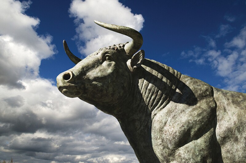 bull.jpg