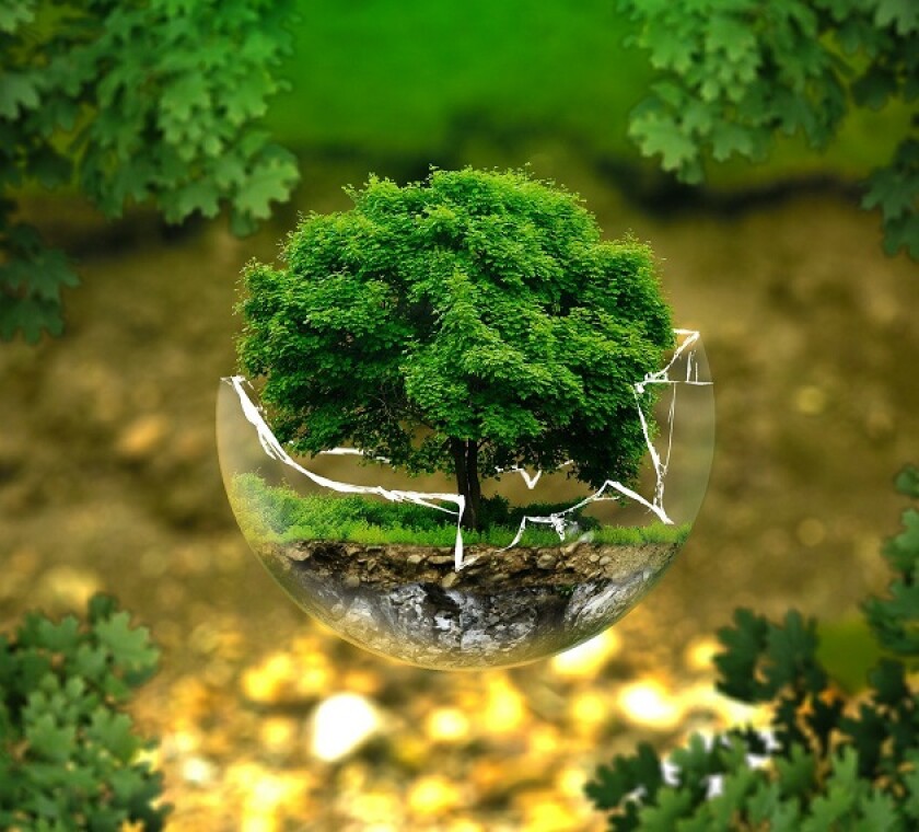 Tax can help protect the environment