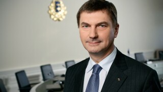 Ansip large
