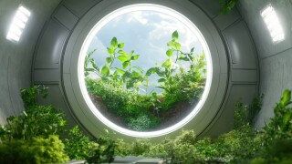 Plants and technology