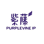 purplevine-ip.png