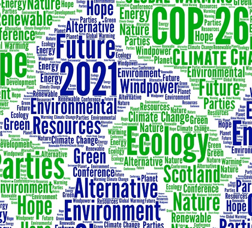 Consensus around carbon taxes may be limited at COP26