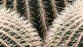 Mexico's digital VAT will be a prickly issue for multinationals