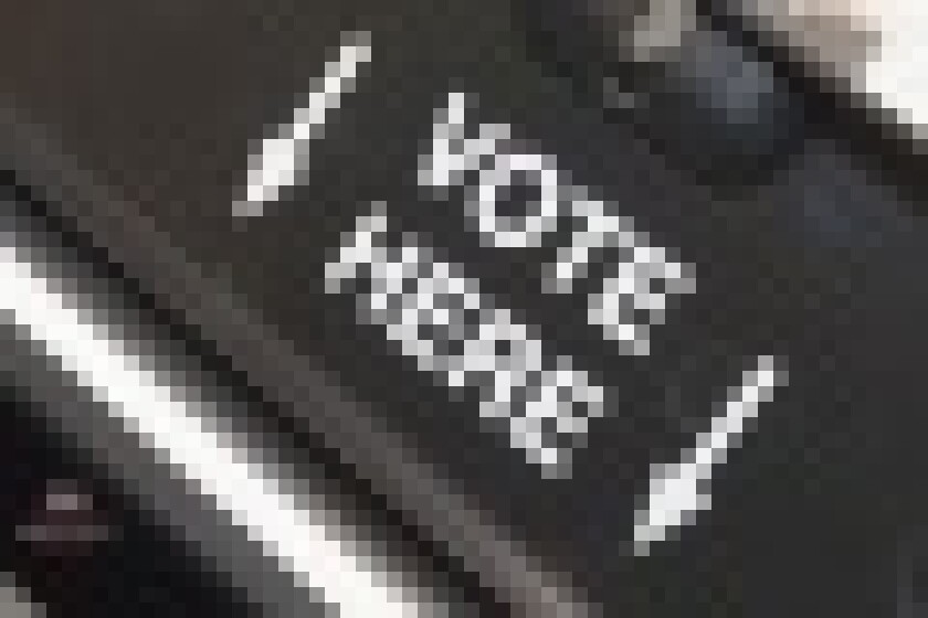 ballot-box.jpg