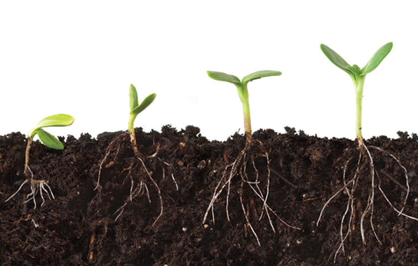 growth.jpg