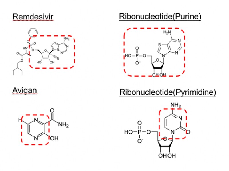 fig-2.jpg