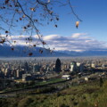landscape.jpg