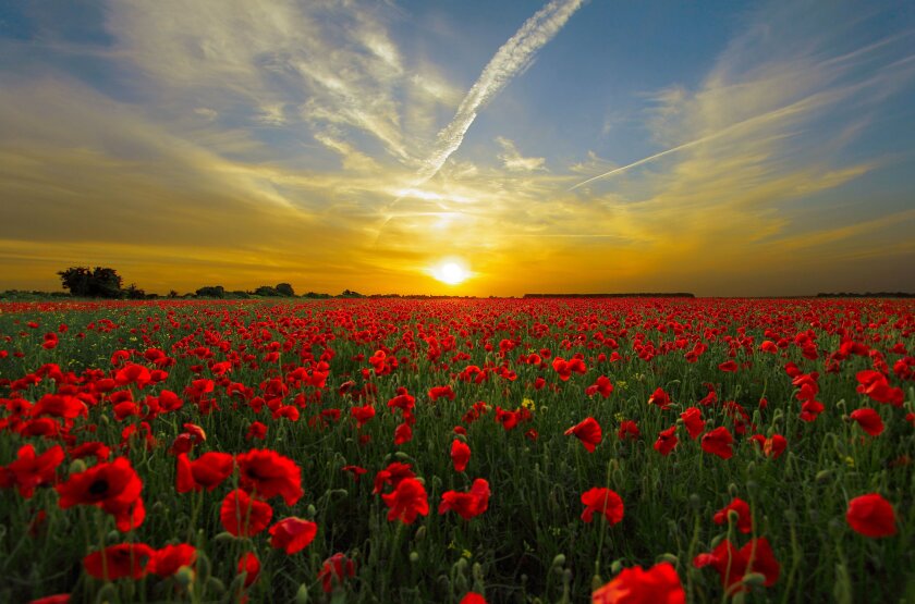 sunset-815270.jpg