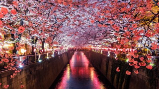 japan-2.jpg