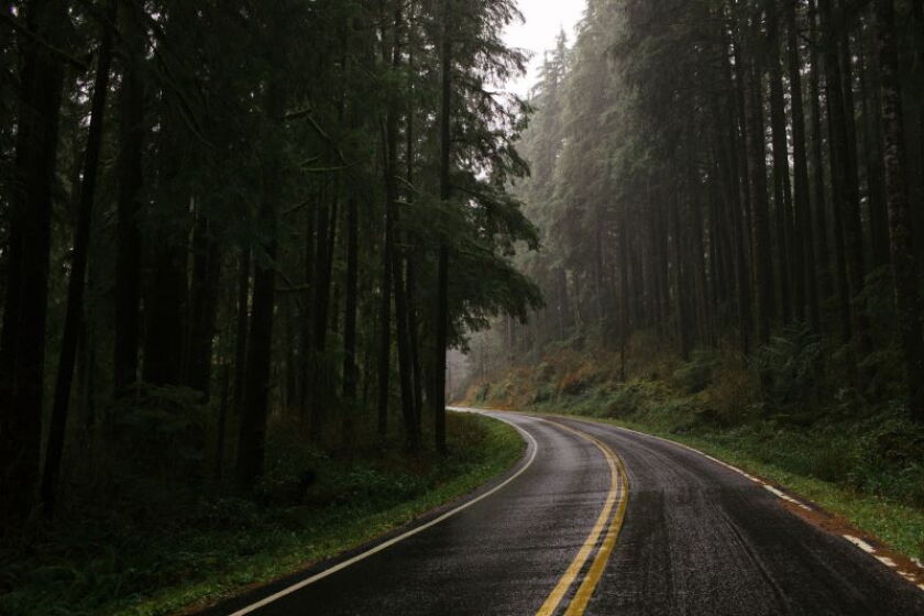 road.jpg