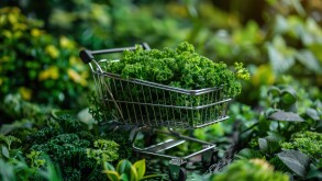 Green loyalty programs incentivizing sustainable consumer behavior