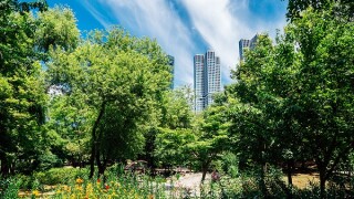 adobestock-366462115.jpg