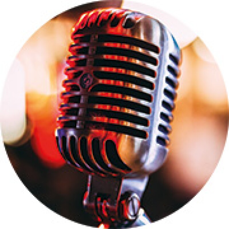 mic.jpg