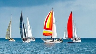 International boats