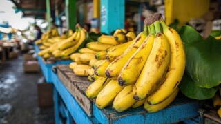 A fresh bundle of yellow bananas resting on a market stall with tropical leaves.
