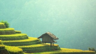 The Kuala Lumpur High Court sided with the taxpayer in a dispute over stamp duty