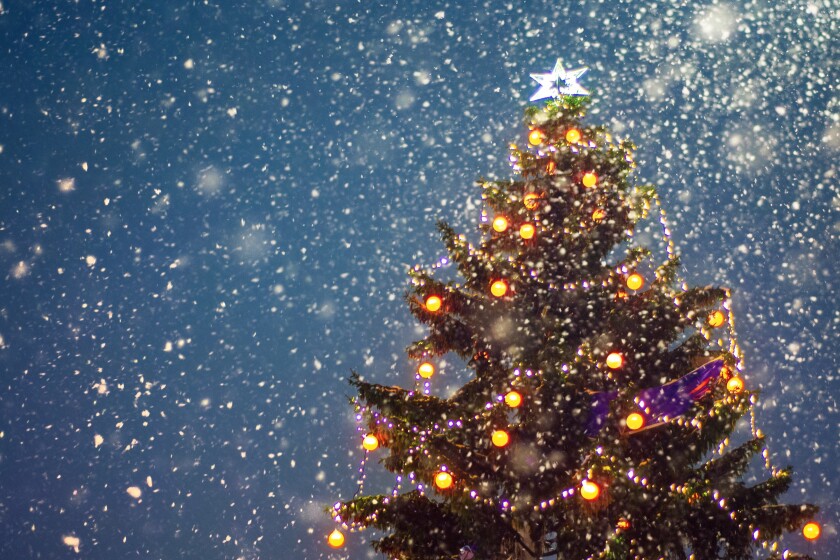 Illuminated christmas tree at night with falling snow and copy s