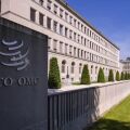 wto.jpeg