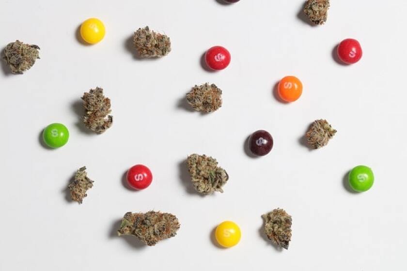 cannabispolicingcover.jpg