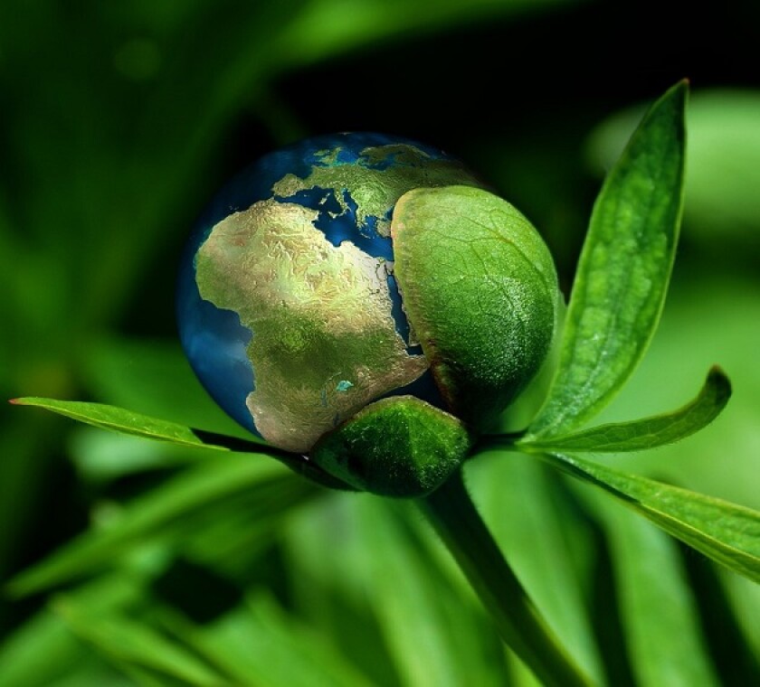 The Green Deal is a master plan which aims to transform Europe into the first climate-neutral continent