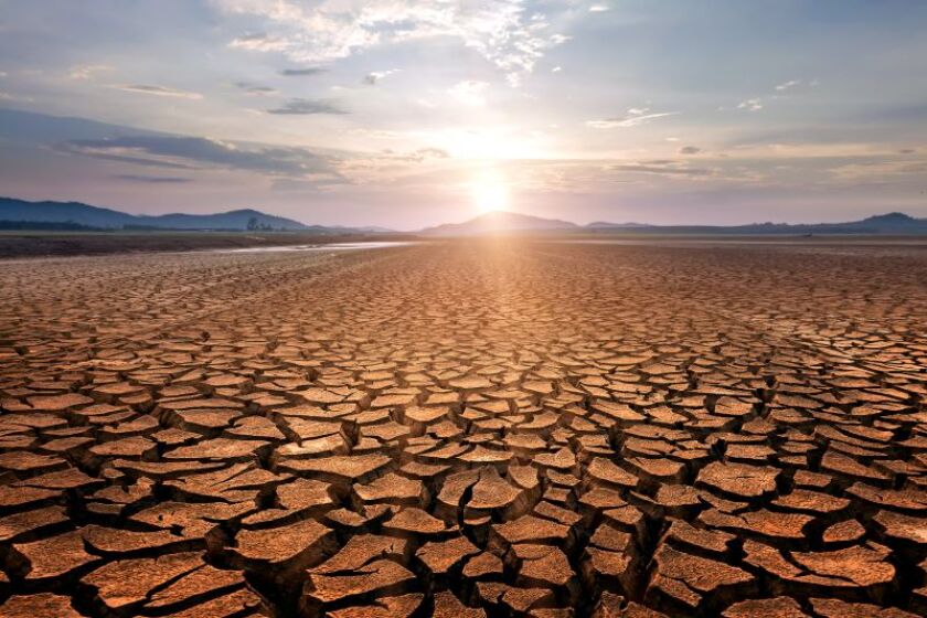 dried river.jpeg