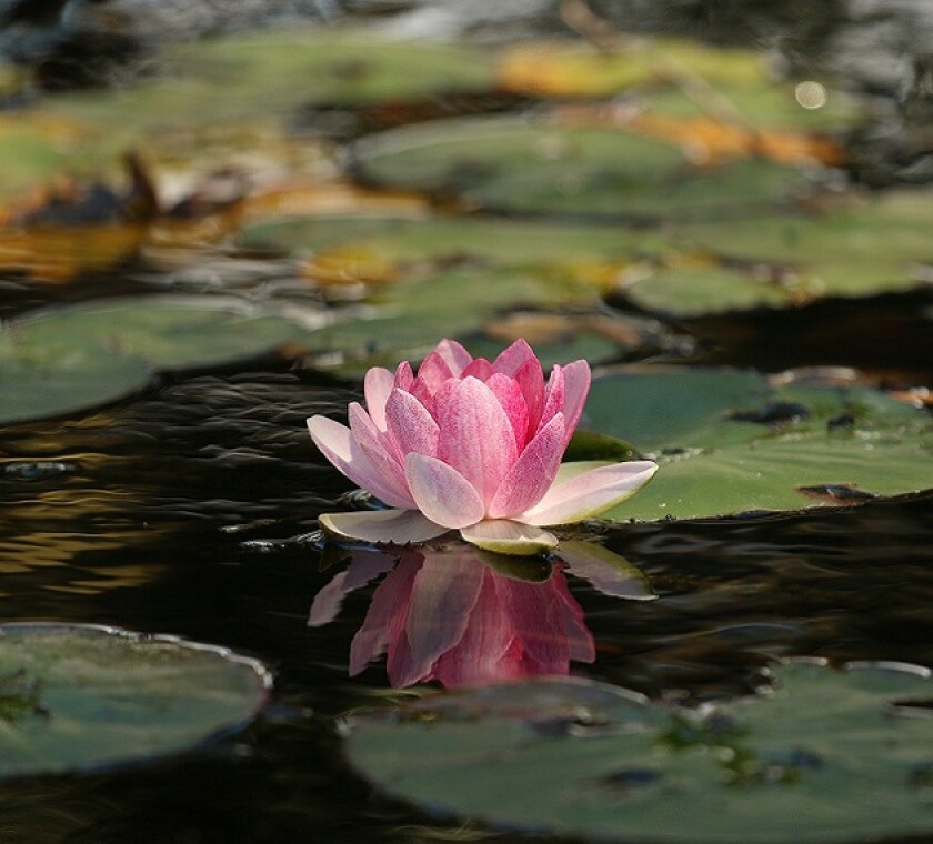 The new proposals will increase the fight against tax avoidance