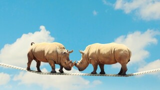 ITR’s virtual global tax disputes and tax controversy summits offered valuable advice