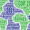 Consensus around carbon taxes may be limited at COP26