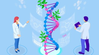 crispr-plants.jpg