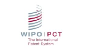 PCT logo 168