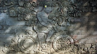 The tax sector has had a busy opening month in 2020