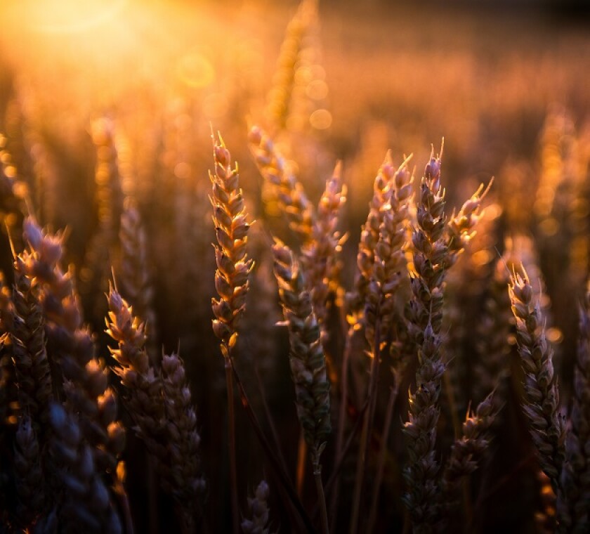 State support measures will be extremely valuable for investors