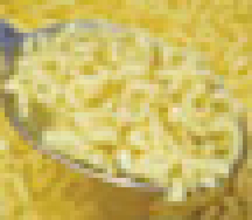 alphabet-soup-puff.jpg