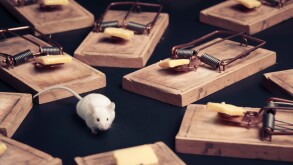 multiple mouse traps with cheese on a dark background