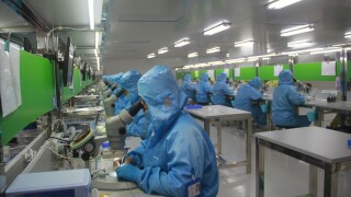 Laboratory scientists using microscopes