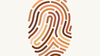 Diversity in teams is a business asset, according to tax professionals