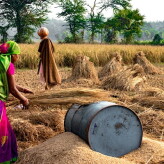 Hard Working Indian Woman Farmer wearing Saree, and working in h