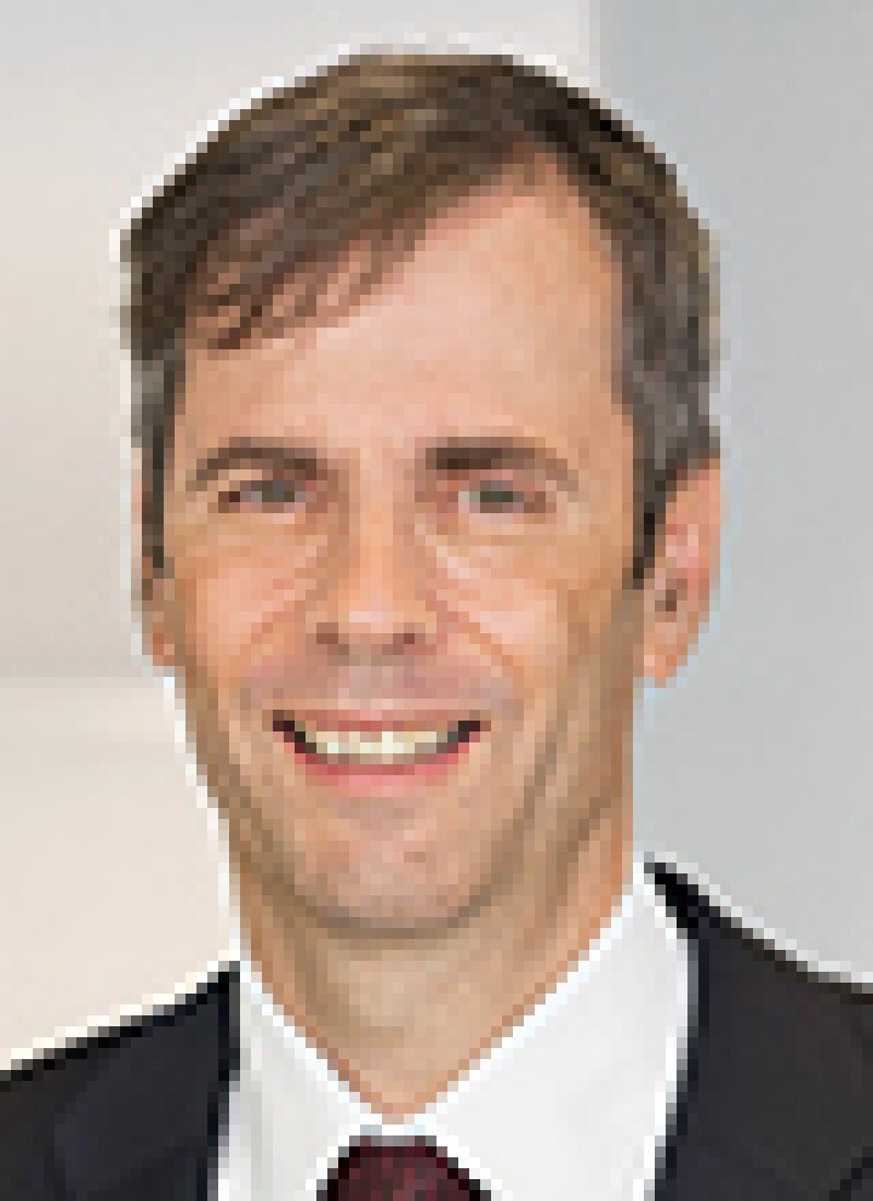 vogel.jpg