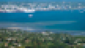 pacific-puff.jpg