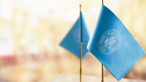 Small flags of the International Intellectual Property Organization on an abstract blurry background