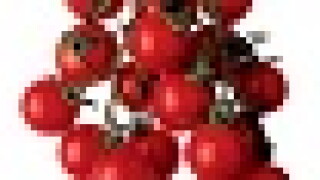 tomatoes-55.jpg
